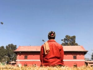 Lee más sobre el artículo La «mente de mono»: cómo manejar el caos mental y encontrar calma con la Psicoterapia